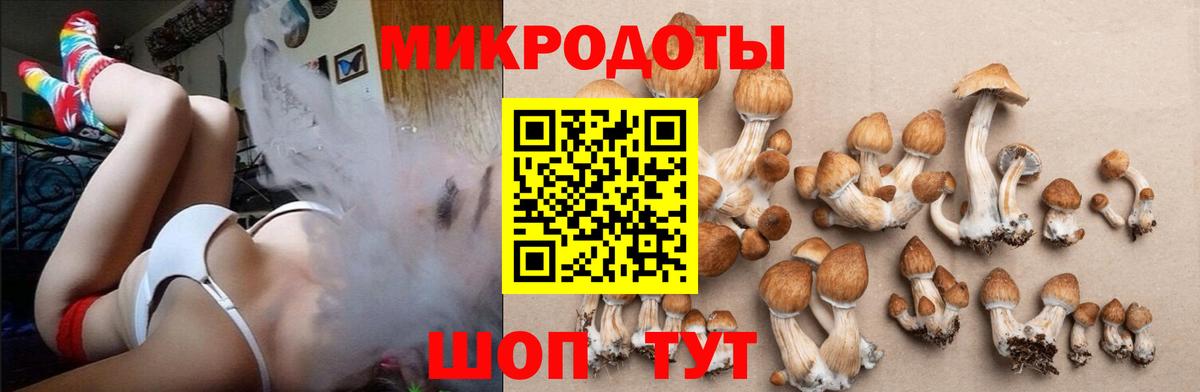 Псилоцибиновые грибы ЛСД  Вход с VPN  Курчалой 